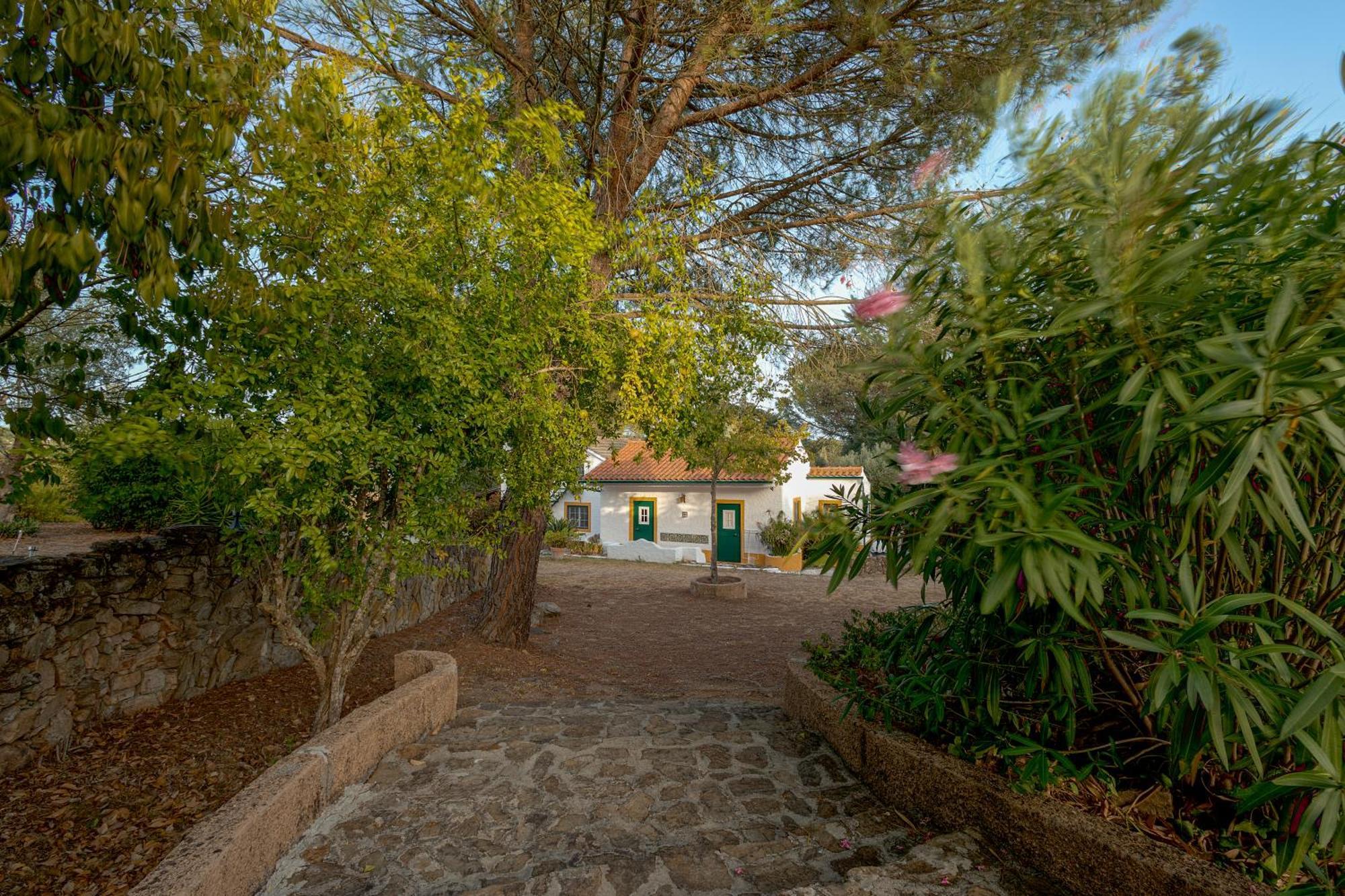 Sao Pedro de Tomar Casa Do Vale 빌라 외부 사진