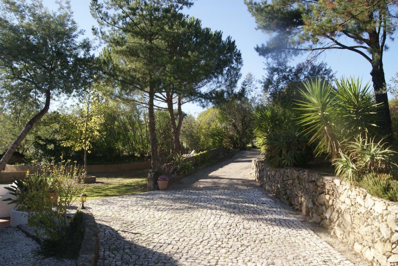 Sao Pedro de Tomar Casa Do Vale 빌라 외부 사진