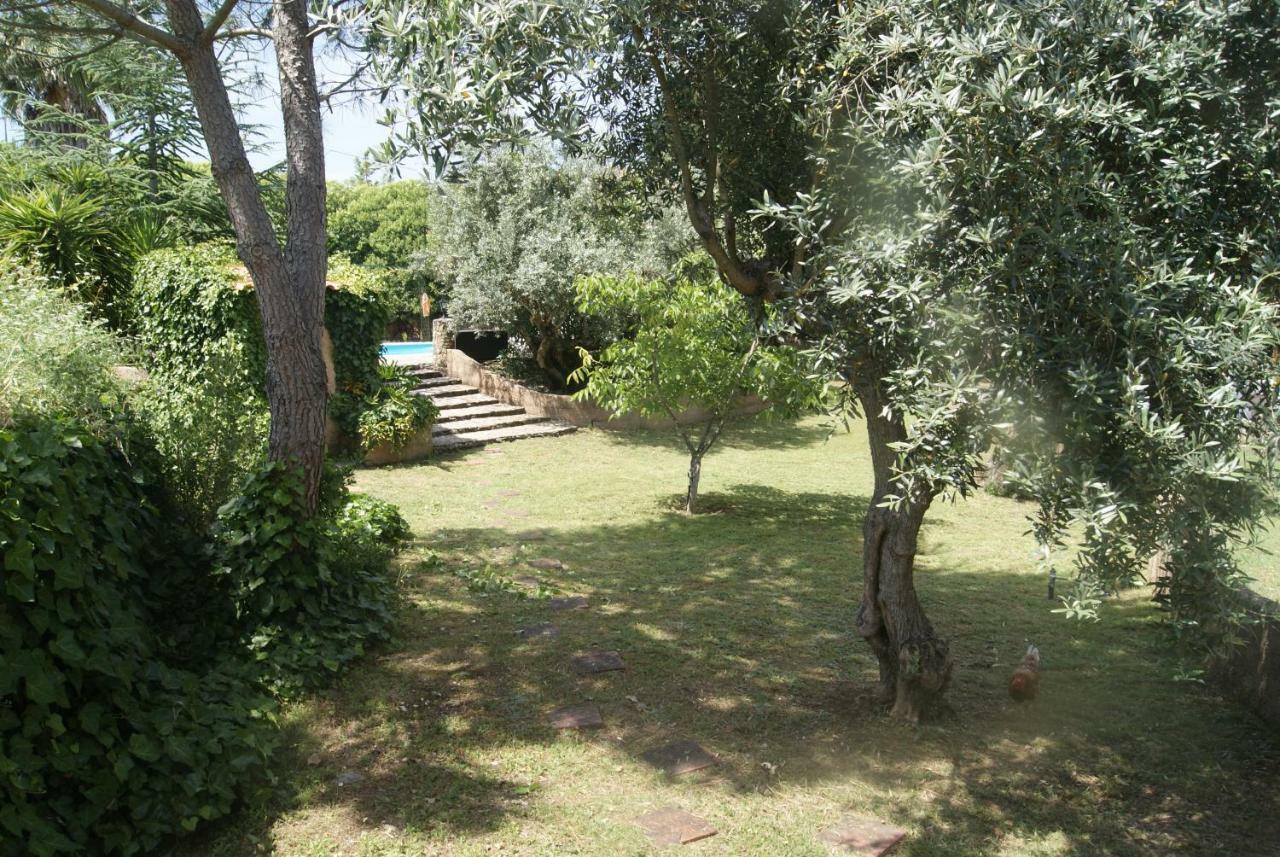 Sao Pedro de Tomar Casa Do Vale 빌라 외부 사진