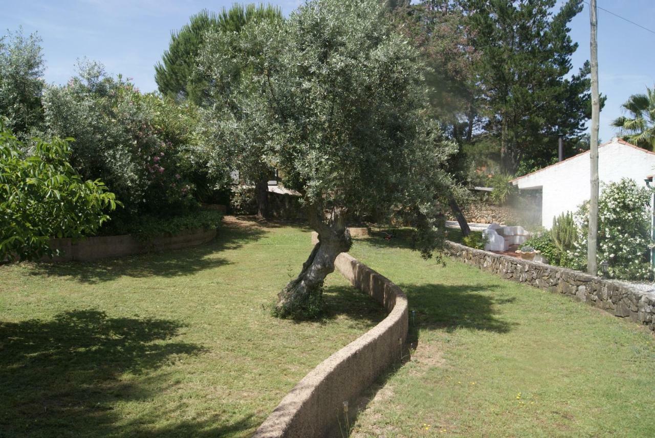 Sao Pedro de Tomar Casa Do Vale 빌라 외부 사진